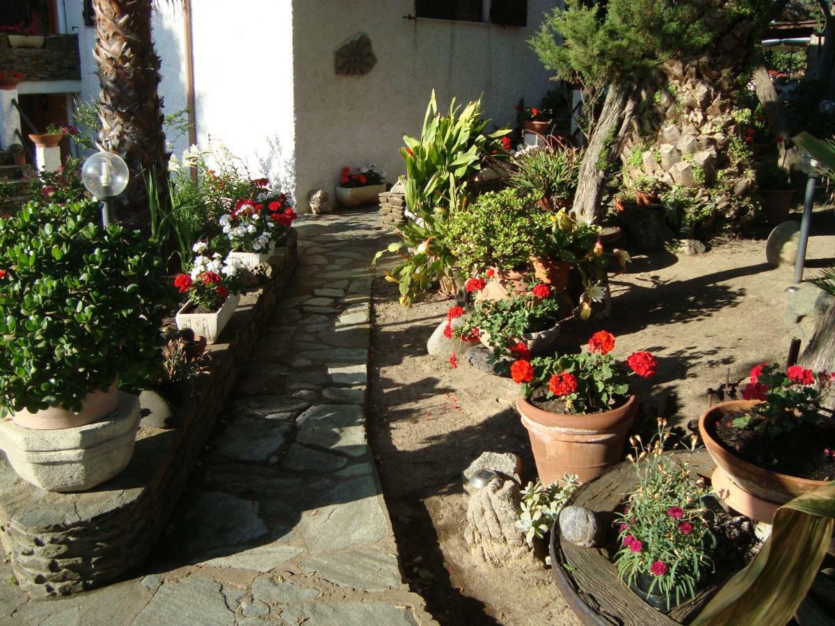 Solmar Palmadula Exterior foto