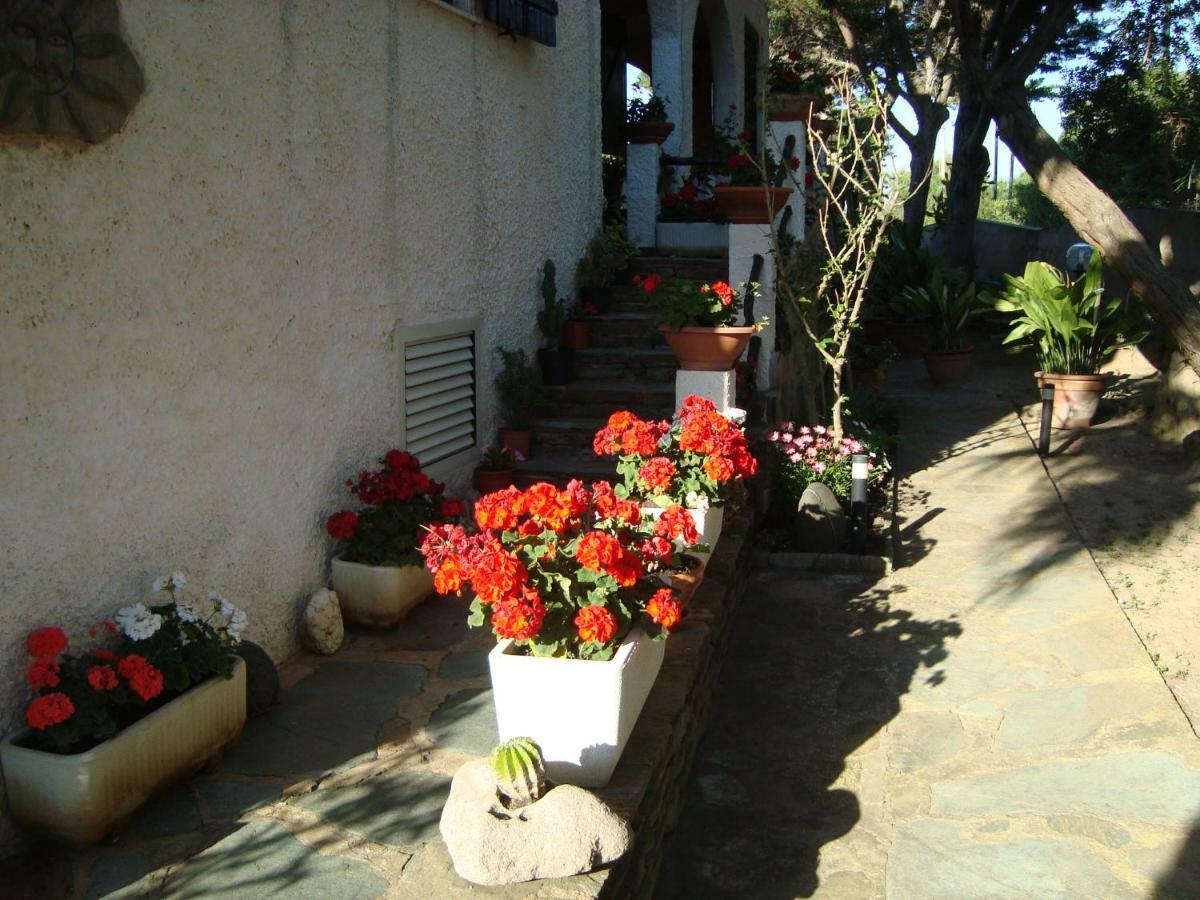 Solmar Palmadula Exterior foto